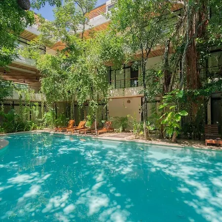 Acinte Apartment